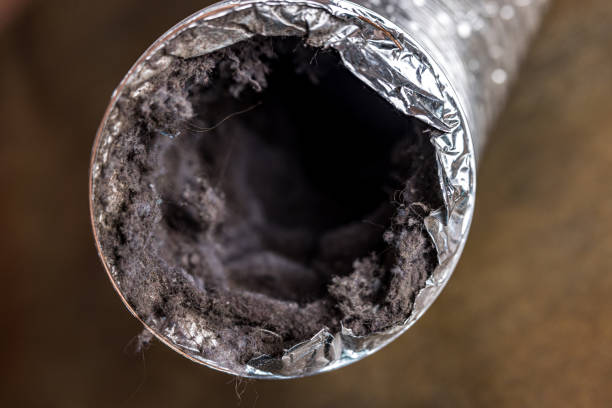 Best Best Air Duct Cleaning Company  in Eddyville, IA