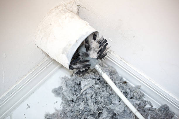 Best Professional Duct Cleaning Services  in Eddyville, IA