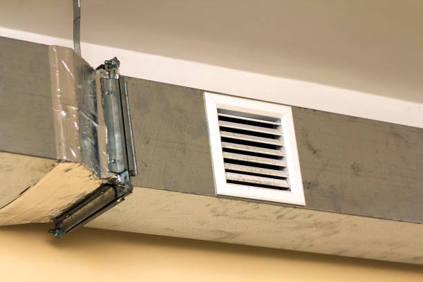 Best Air Duct Sanitizing Services  in Eddyville, IA